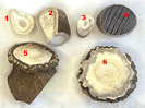  A Mixed Bag of Bone Products MBBP-FR