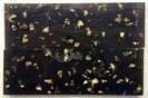Clear Acrylic with Black and Gold Flecks - ENk-Fr