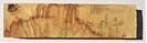 Box Elder Burl BE1 DH-BE1 