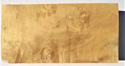 Box Elder Burl BE3 DH-BE3 