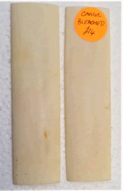 Camel Bone White Bleached EE-C-WB