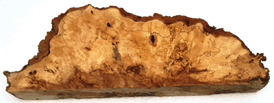 English Sweet Chestnut Burr Section RC-FR-B BX-G