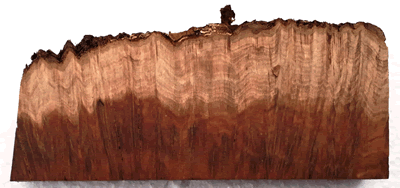 Premium Mallee Burl Block 1 EW-MB BX-L