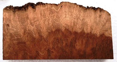 Premium Mallee Burl Block 3 EW-MB BX-L