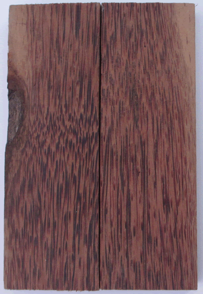 Thick Cut Palm Scales EW-P-sc