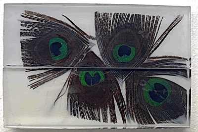 Clear Acrylic with Peacock Feathers - ENk-Fr
