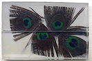 Clear Acrylic with Peacock Feathers - ENk-Fr