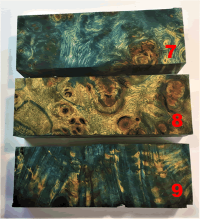 Poplar Burl Light Blue Block 7 EHK-PB-B7