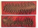 Spruce Cone - Red Scales MER-RSC-S1R BX-R