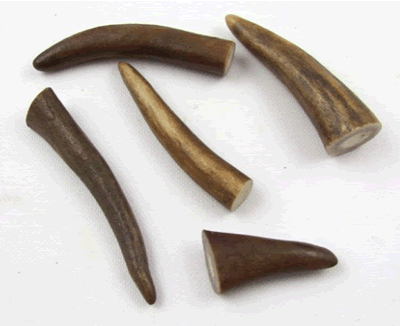 Arctic Reindeer Tips7028