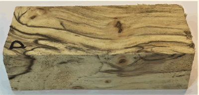 Spalted Elm Burl Blocks D DH-SEB-D