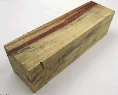 Spalted Tamarind Square Block 64918 BXE