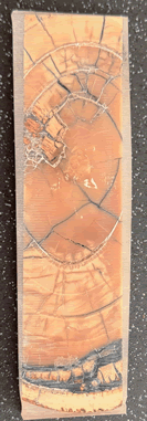 Stabilised Mammoth Cross Cut TuskEHK-SMCT