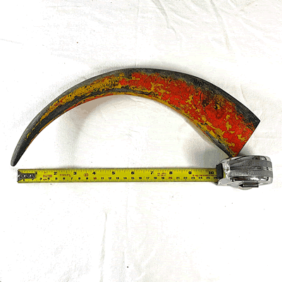 Water Buffalo Horn MediumEHK261125-1