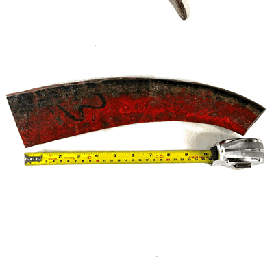 Water Buffalo HornEHK261125