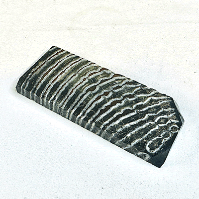 Stabilised Mammoth Molar Cross Cut EHK-SMC